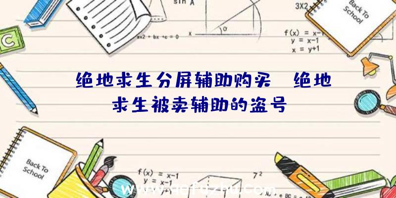 「绝地求生分屏辅助购买」|绝地求生被卖辅助的盗号